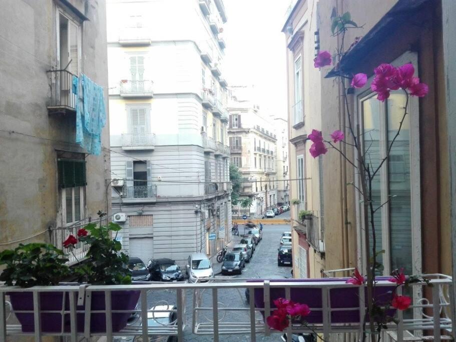 Joyfull Home In The Historical Center نابولي المظهر الخارجي الصورة
